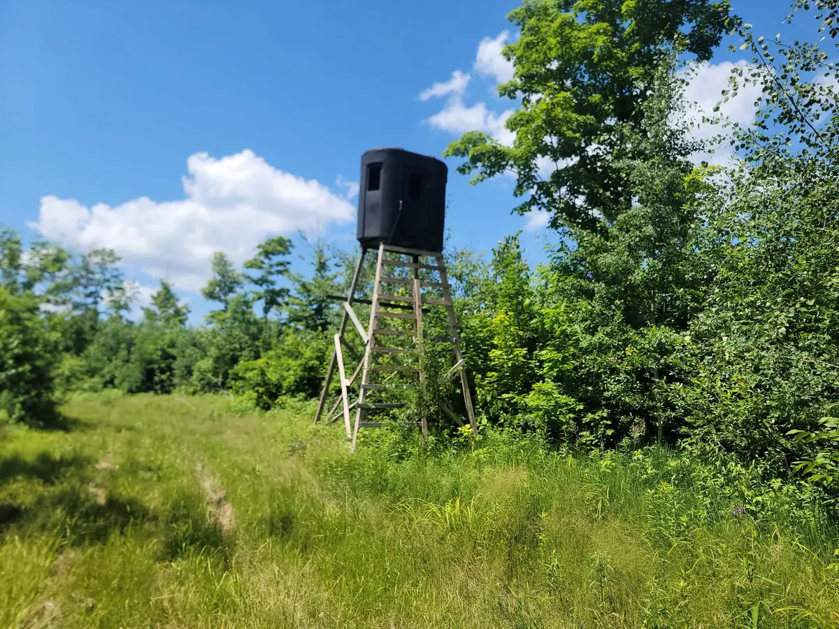 ON Cth H #80Acres, Radisson, WI 54867 - #1