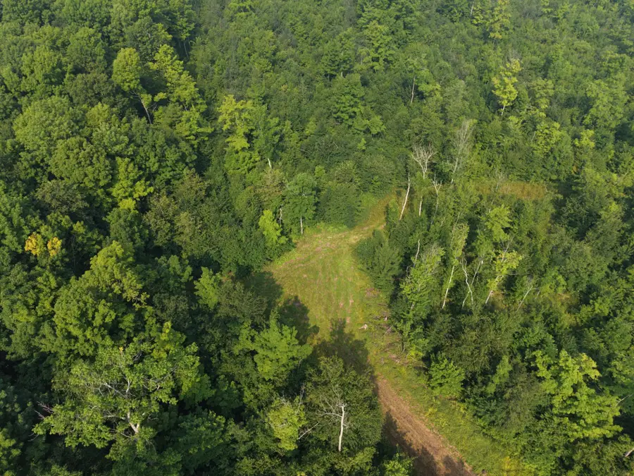 ON Cth H #80Acres, Radisson, WI 54867 - #3