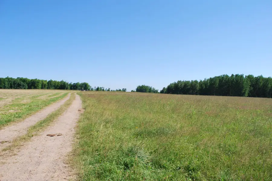 ON Sipple Rd #6.2+/-ac., Crandon, WI 54520 - #2