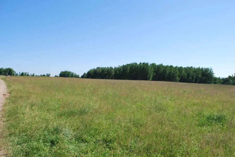 ON Sipple Rd #6.2+/-ac., Crandon, WI 54520 - #3