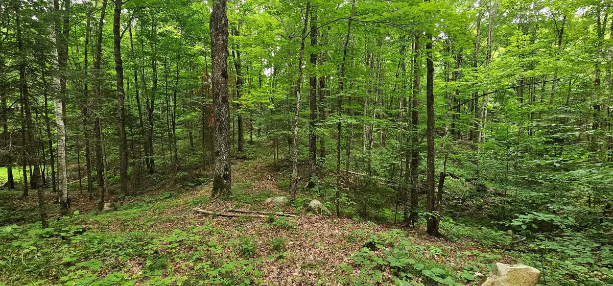 10 Acres Five Cent Rd, Gleason, WI 54435 - #1