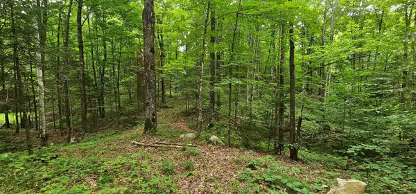 10 Acres Five Cent Rd, Gleason, WI 54435