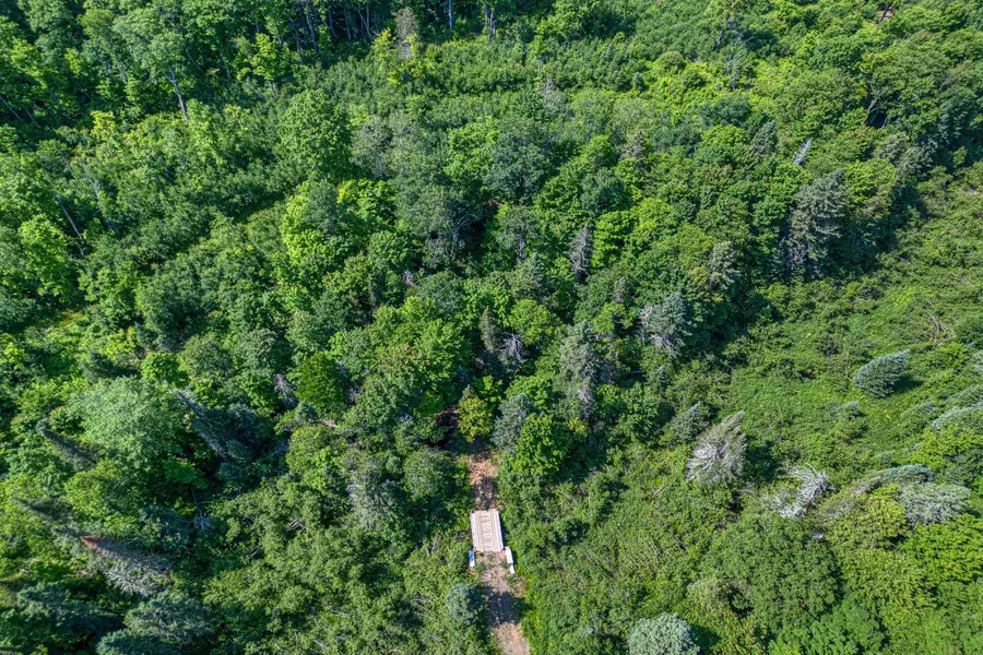 6881E Forest Rd #Lot 1, Marenisco, MI 49947 - #2