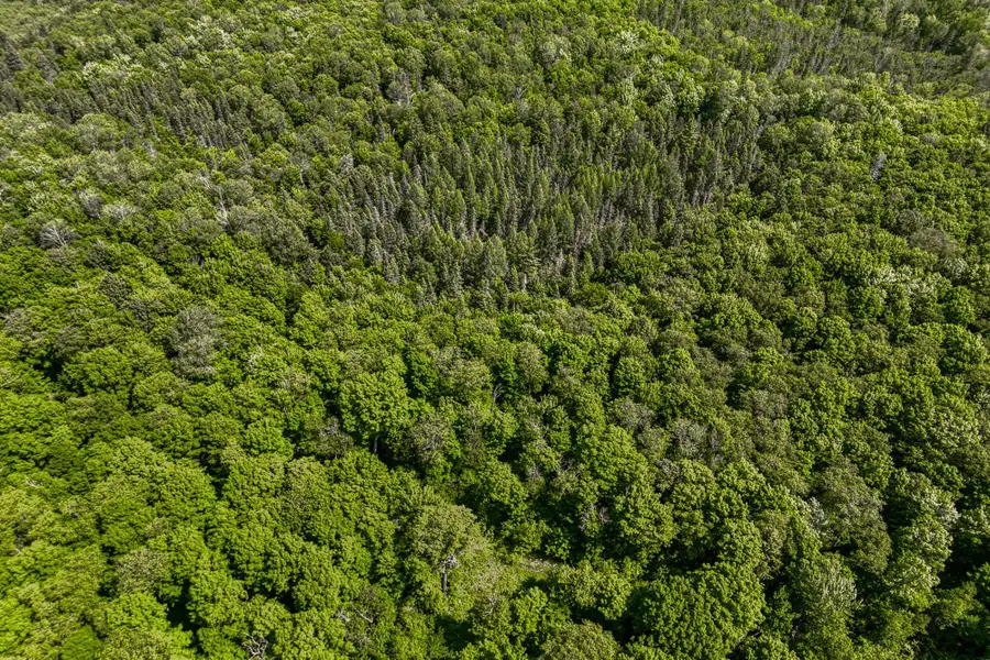 6881E Forest Rd #Lot 1, Marenisco, MI 49947 - #3