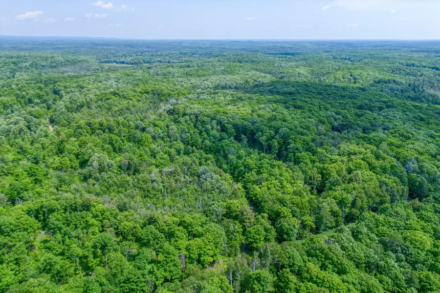 6881E Forest Rd #Lots 5-6, Marenisco, MI 49947 - #2