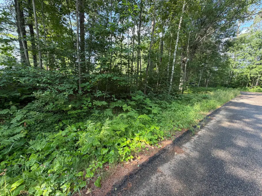 Lot 38 Longbow Ct, Minocqua, WI 54548 - #3