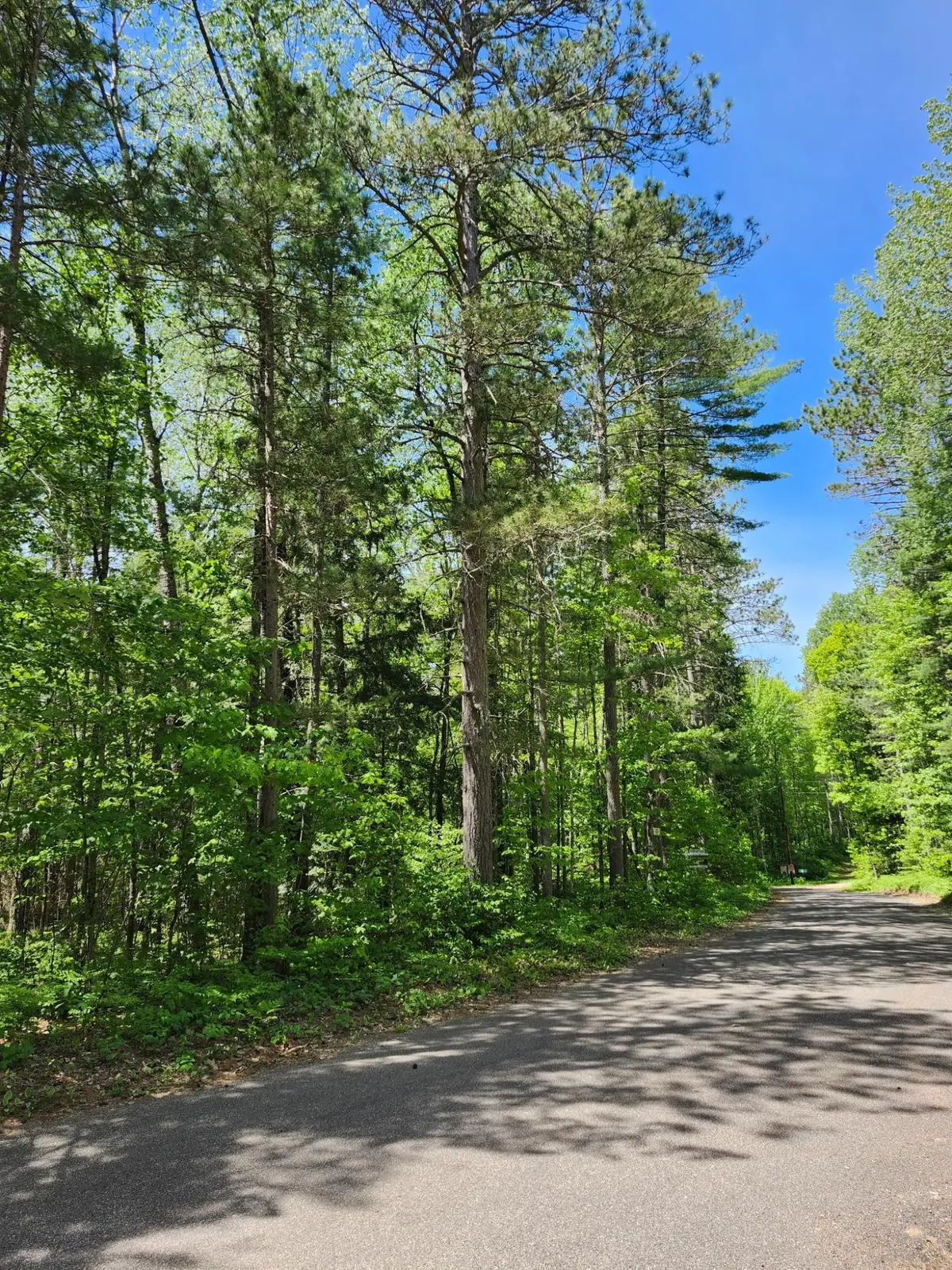 8 acres Bills Lake Rd, Lac Du Flambeau, WI 54538 - #1