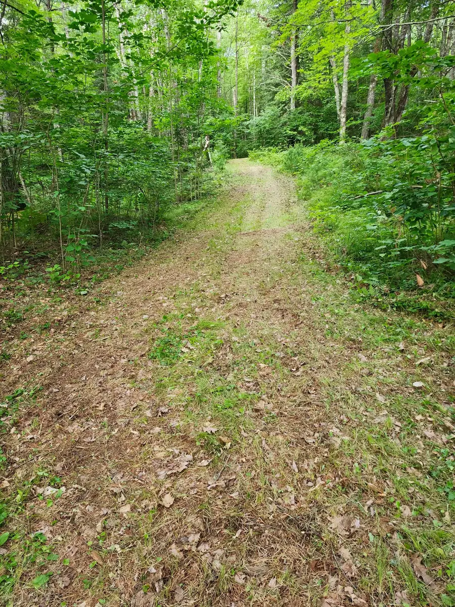 8 acres Bills Lake Rd, Lac Du Flambeau, WI 54538 - #2