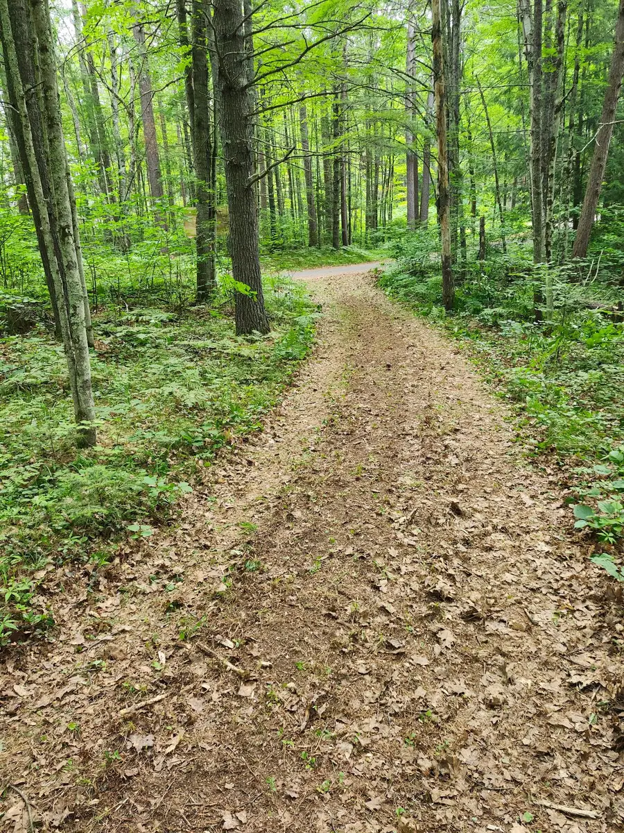 8 acres Bills Lake Rd, Lac Du Flambeau, WI 54538 - #3