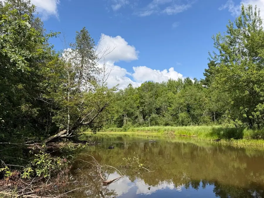 1834 Hwy 182 W, Park Falls, WI 54552 - #3