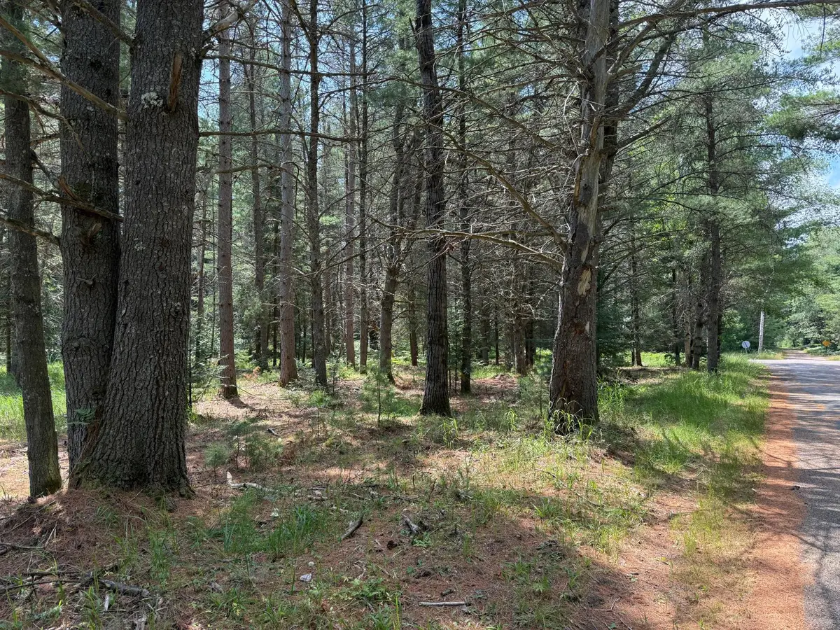 Lot on Melody Dr, Saint Germain, WI 54558 - #1