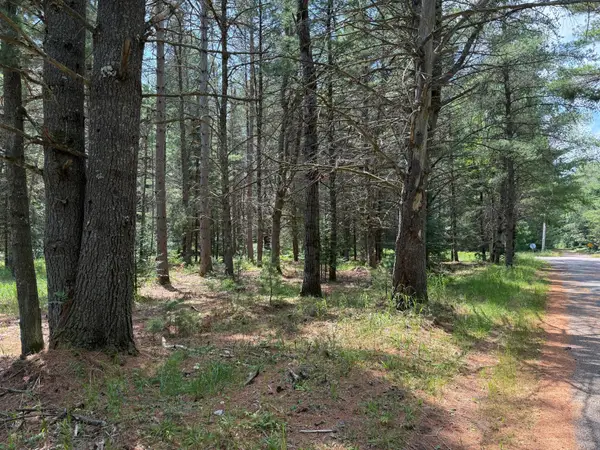 Lot on Melody Dr, St Germain, WI 54558
