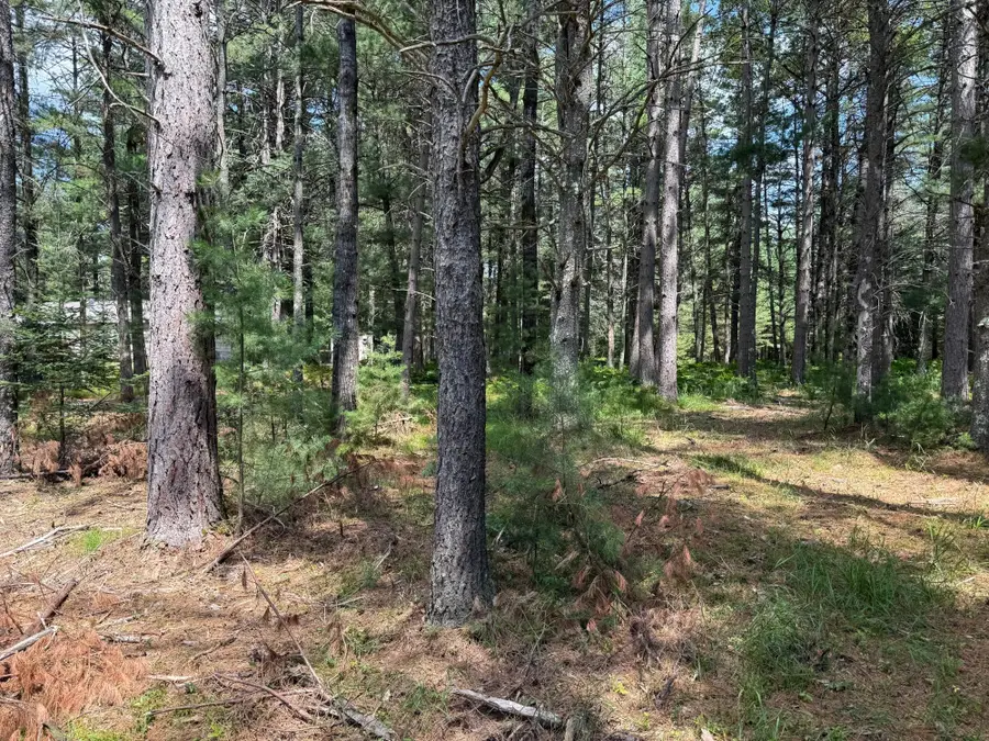 Lot on Melody Dr, Saint Germain, WI 54558 - #2