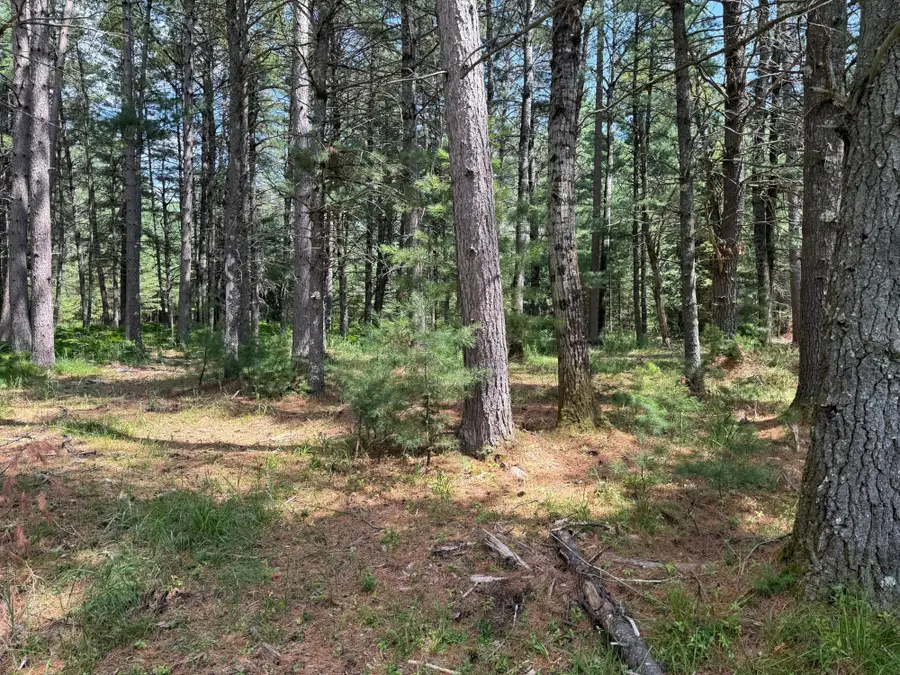 Lot on Melody Dr, Saint Germain, WI 54558 - #3