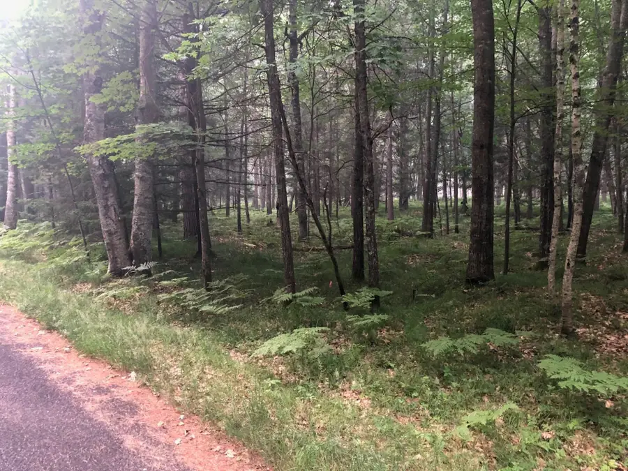 Lot on Hiawatha Cr N, Saint Germain, WI 54558 - #3