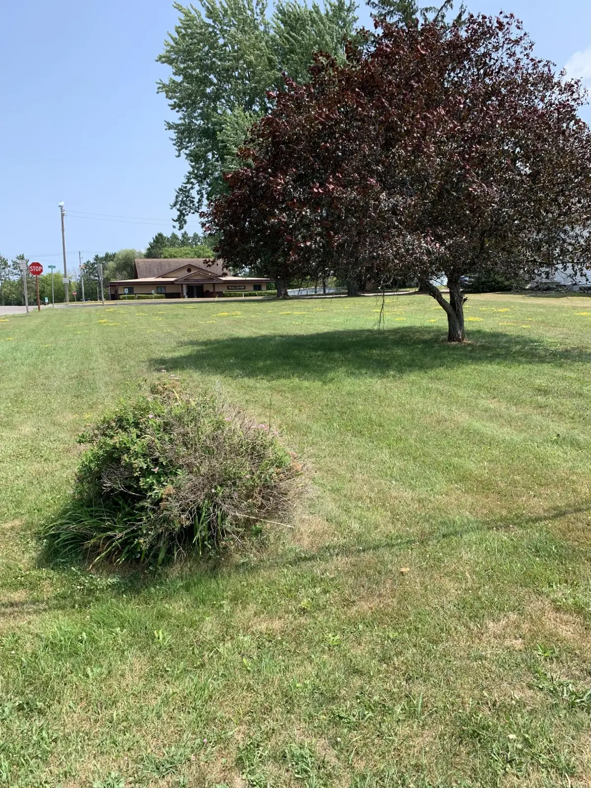 577 2nd Ave N, Park Falls, WI 54552 - #1