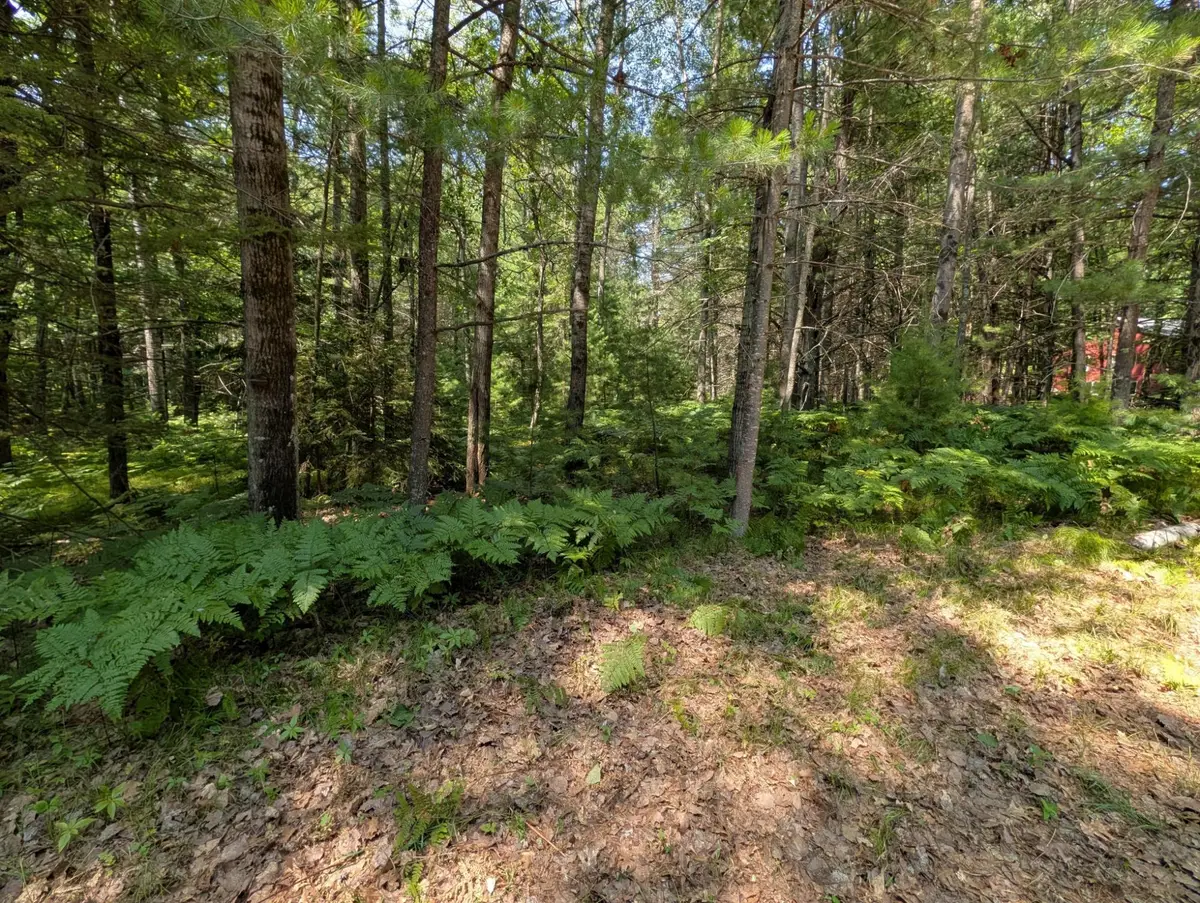 LOT 8 Clawson Dr, Hazelhurst, WI 54531 - #1