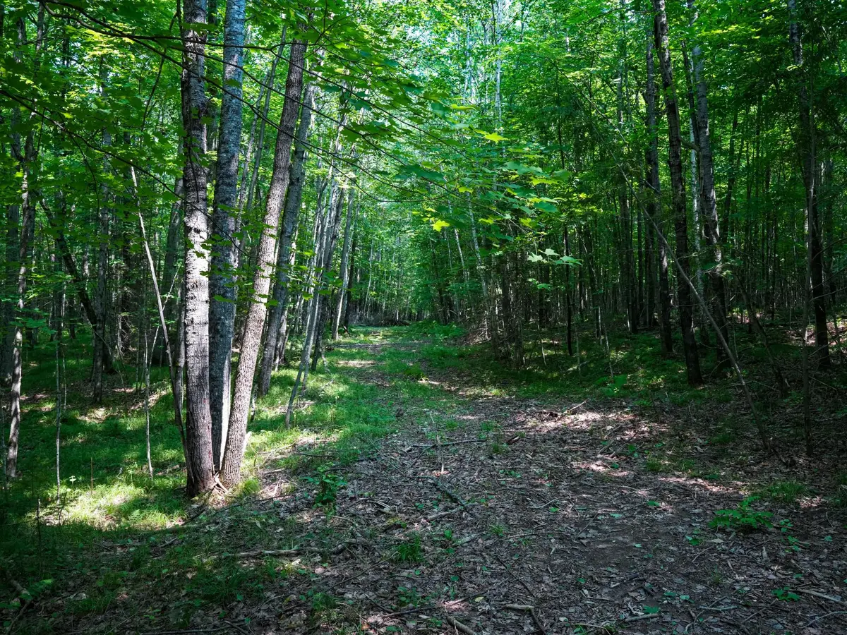 Lot 6 Hwy 17, Phelps, WI 54554 - #1