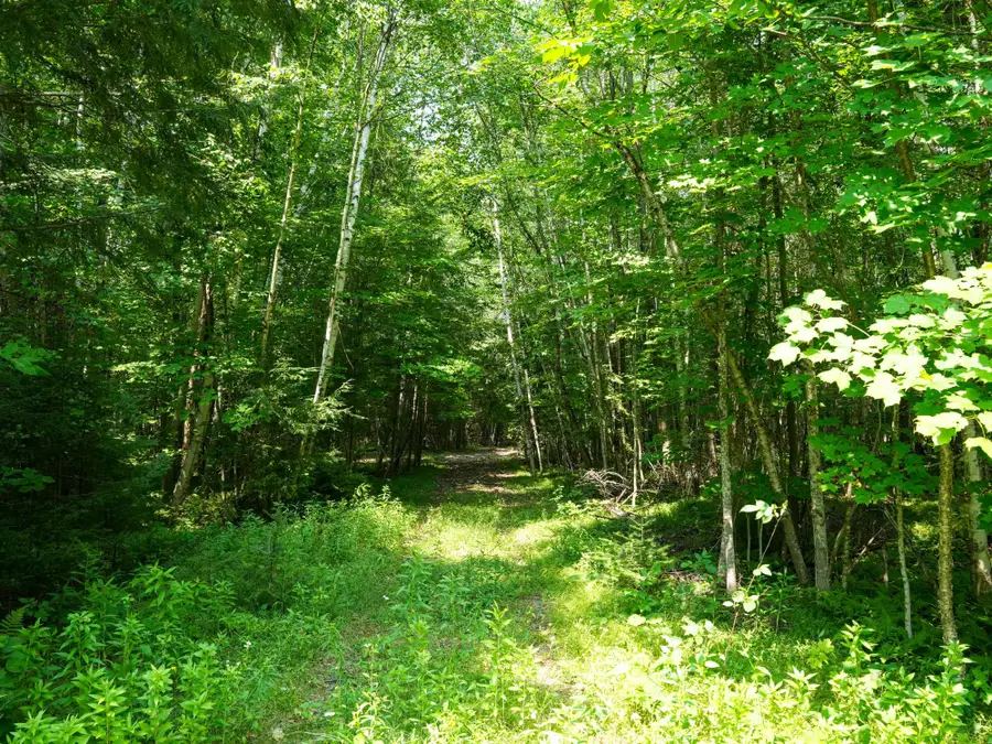 Lot 6 Hwy 17, Phelps, WI 54554 - #2