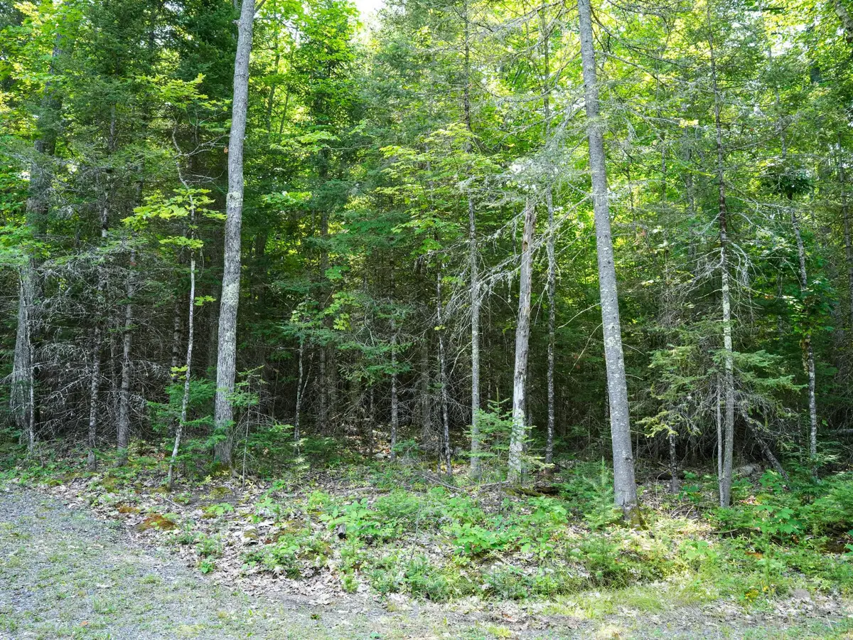 Lot 8 Hunters Ridge Rd, Phelps, WI 54554 - #1