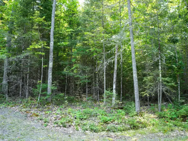 Lot 8 Hunters Ridge Rd, Phelps, WI 54554