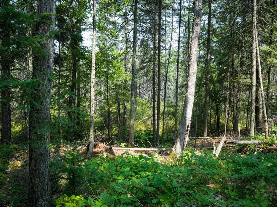 Lot 8 Hunters Ridge Rd, Phelps, WI 54554 - #2