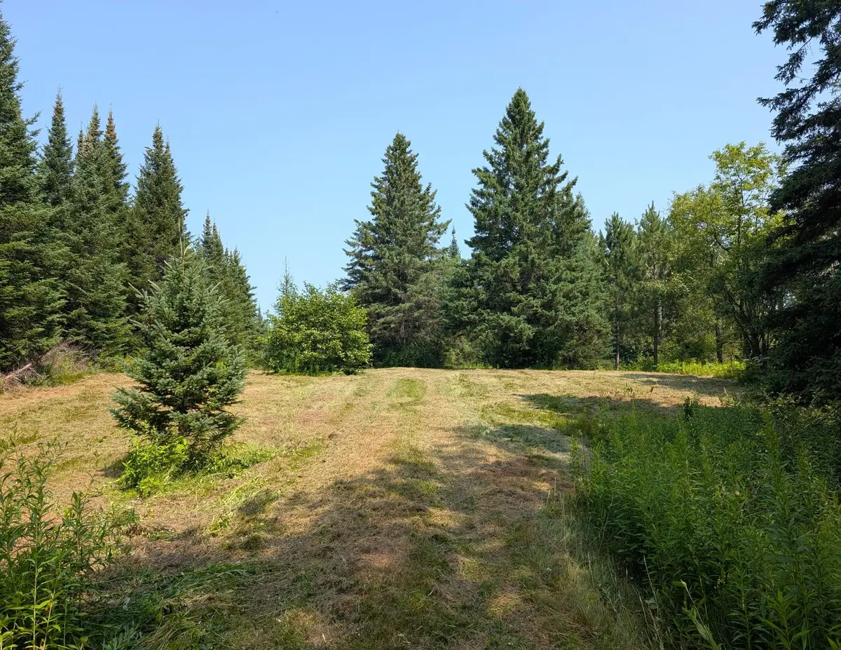 00 Lakeshore Dr, Butternut, WI 54514 - #1