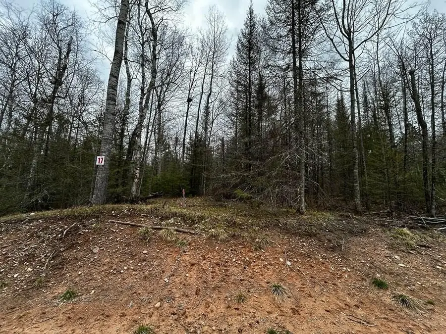 Lot 17 Butternut Cir, Eagle River, WI 54521 - #2