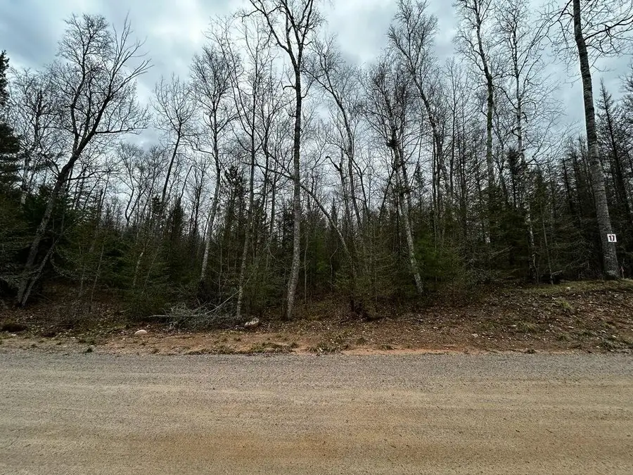 Lot 17 Butternut Cir, Eagle River, WI 54521 - #3