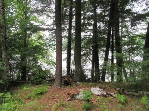 ON Arbor Ln #Lots 1 & 2, Lac du Flambeau, WI 54538