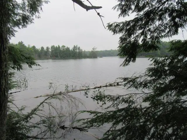 ON Arbor Ln #Lots 1 & 2, Lac Du Flambeau, WI 54538 - #2