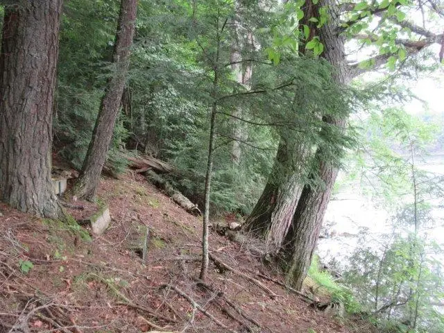 ON Arbor Ln #Lots 1 & 2, Lac Du Flambeau, WI 54538 - #3