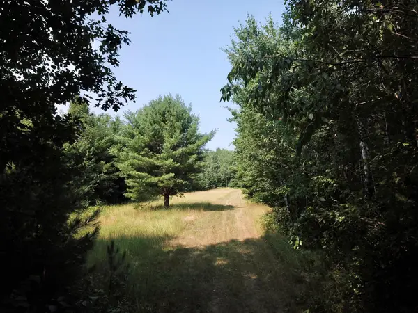ON Oak Ridge Rd, Harshaw, WI 54529