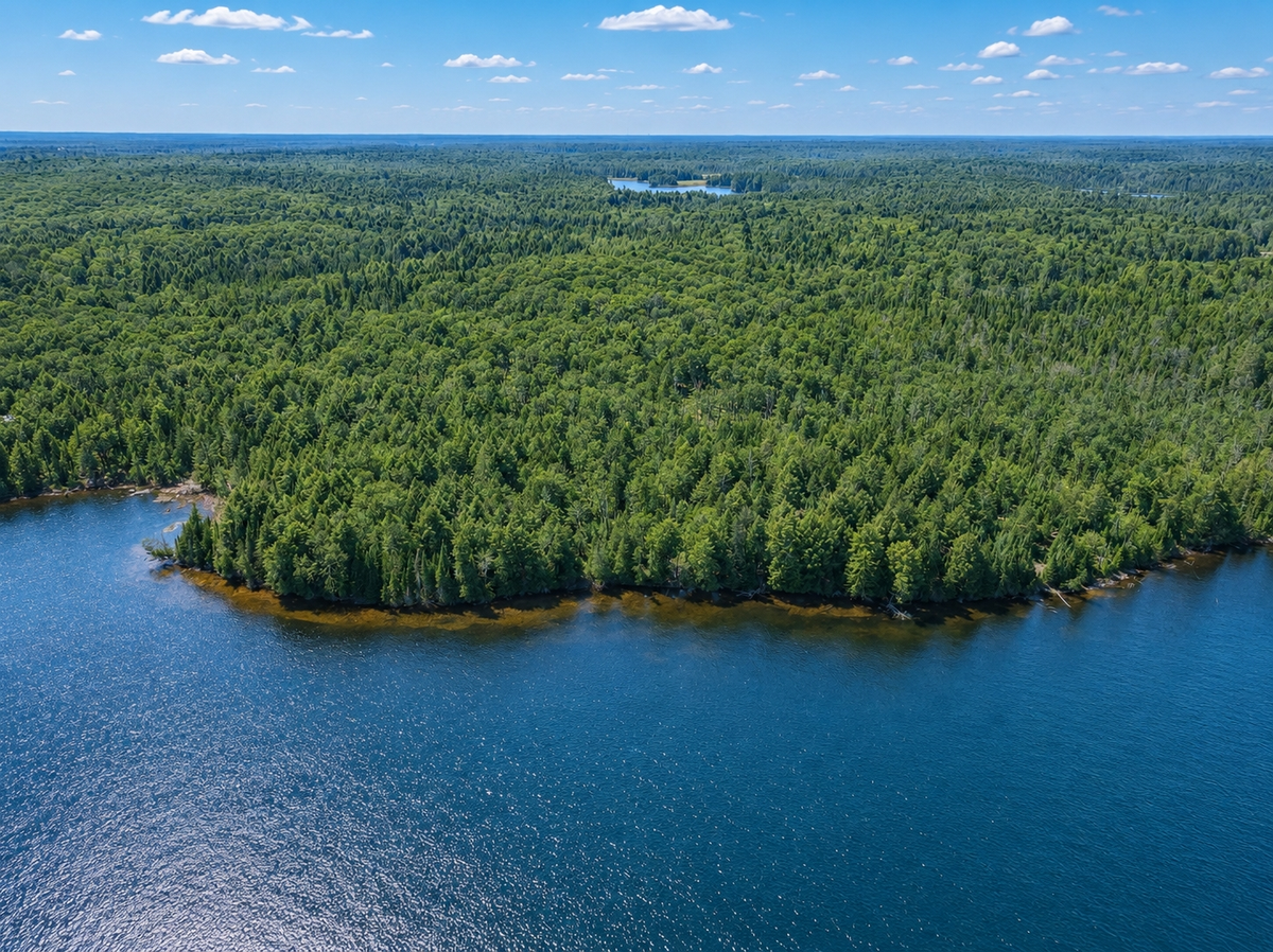 Off Duck Lake Rd E, Watersmeet, MI 49969 - #1
