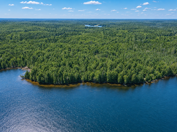 Off Duck Lake Rd E, Land O Lakes, MI 49969