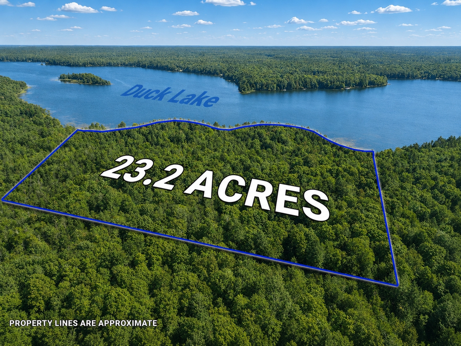 Off Duck Lake Rd E, Watersmeet, MI 49969 - #2
