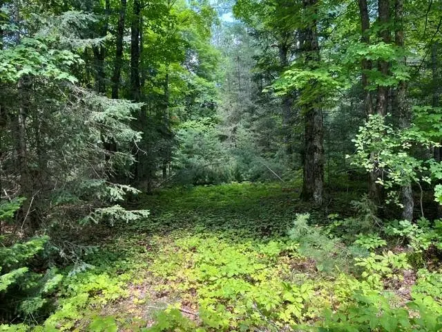 ON Cth B, Land O Lakes, WI 54540 - #1