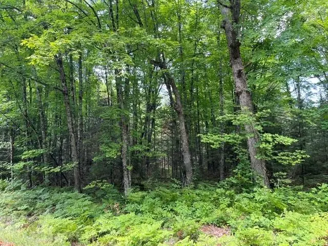 ON Cth B, Land O Lakes, WI 54540 - #2