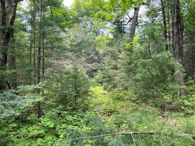 ON Cth B, Land O Lakes, WI 54540 - #3