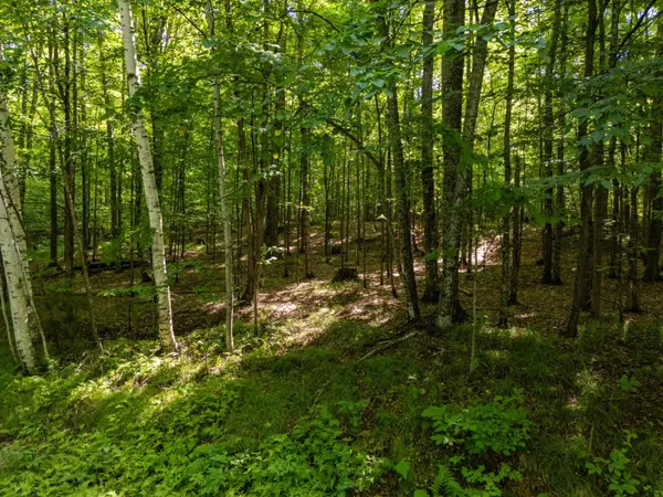Lot 6 Smoky Lake Dr, Iron River, MI 49935