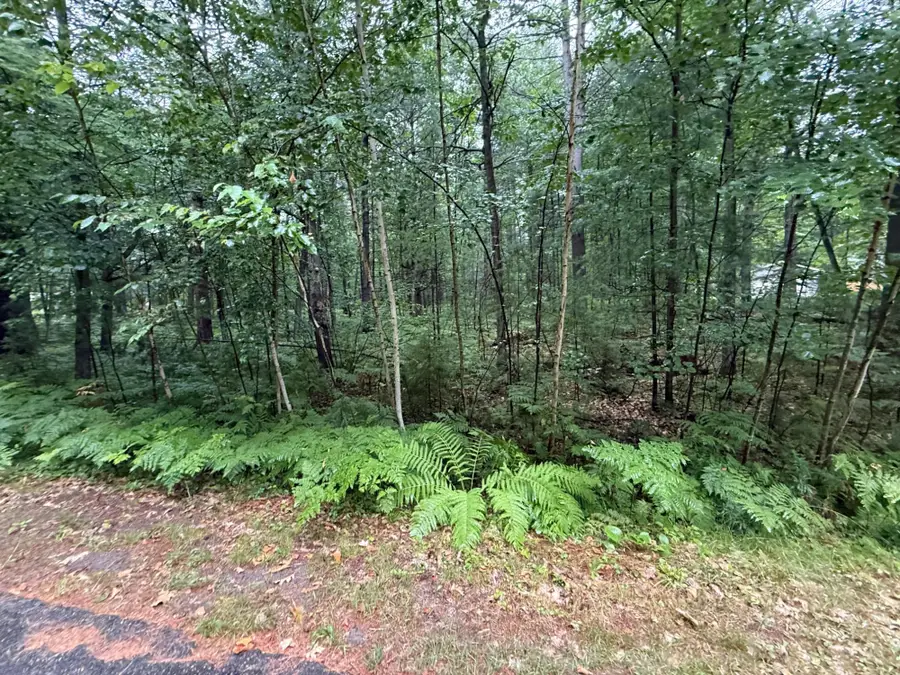 3674 Sterling Dr, Rhinelander, WI 54501 - #3