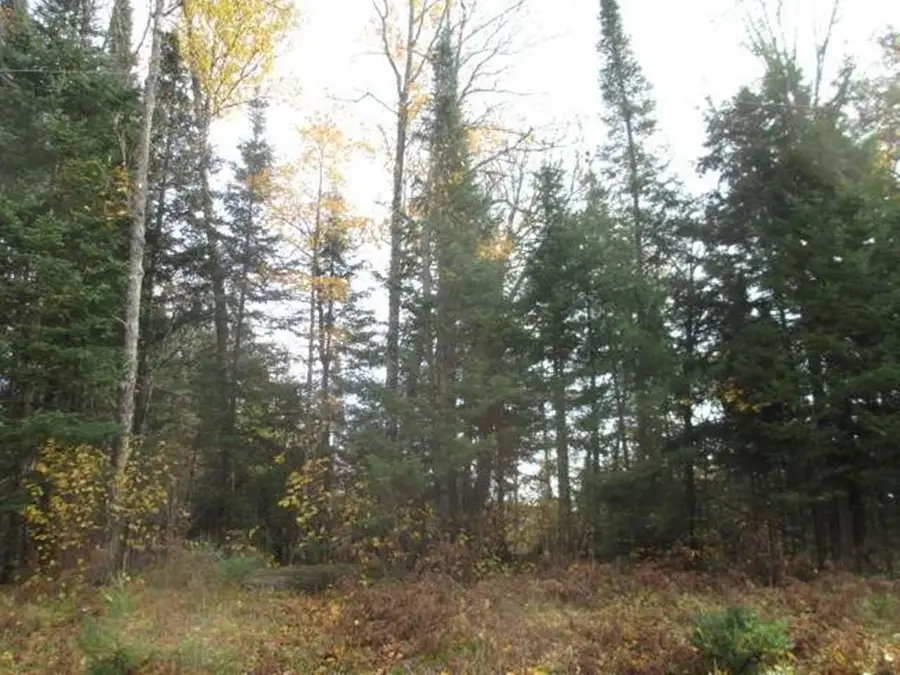 L2 OL2 Cth H, Mercer, WI 54547 - #2