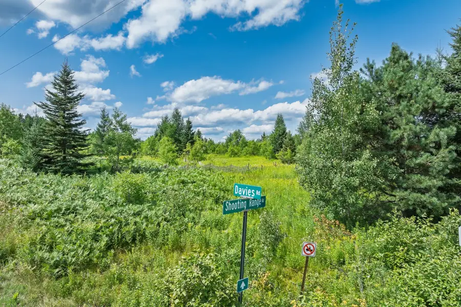 East20A Davies Rd, Phelps, WI 54554 - #2