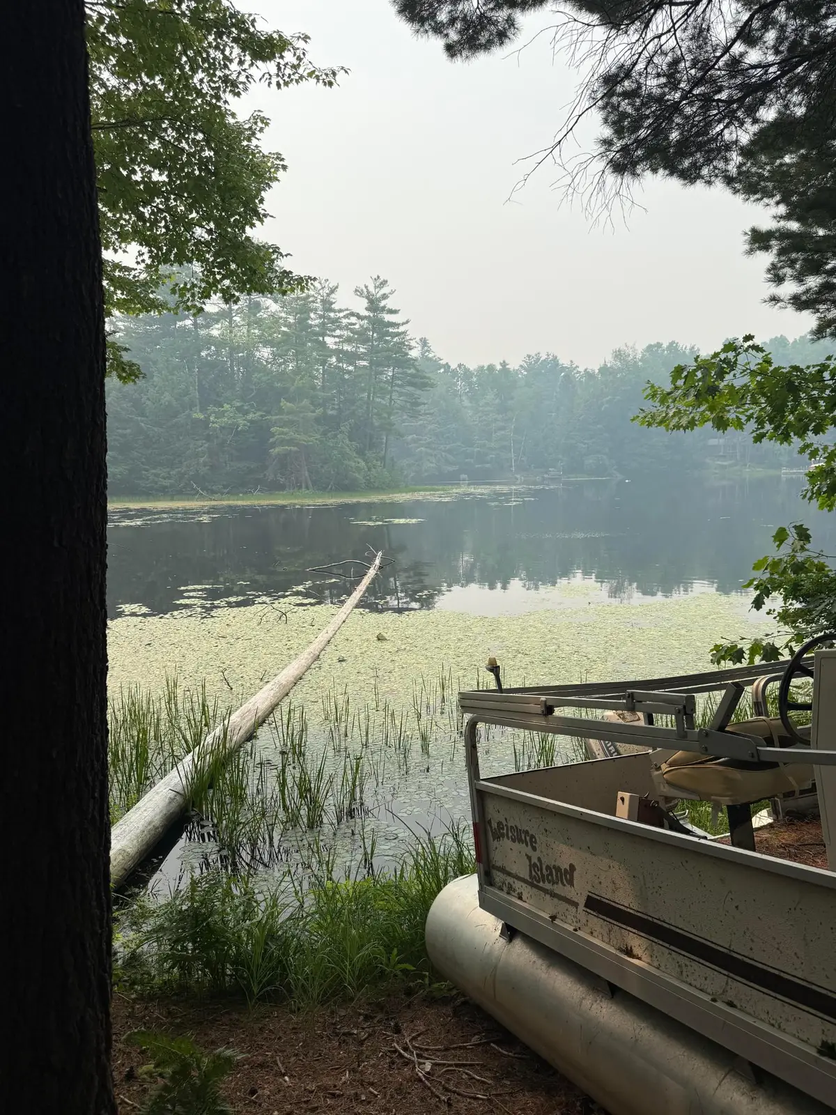 N8840 Pickerel Lake Rd W, Gleason, WI 54435 - #1