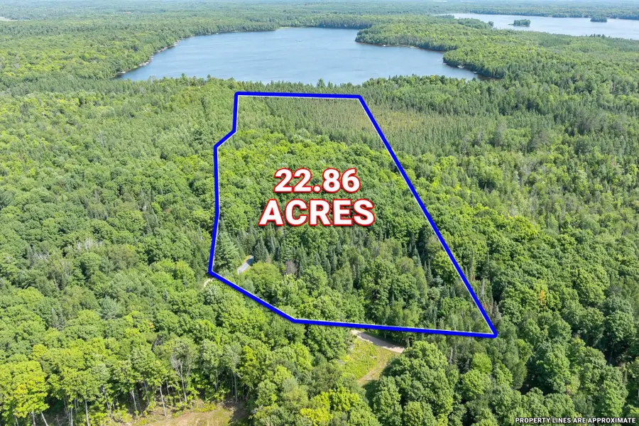 8680 Hoop Ln, Minocqua, WI 54548 - #2