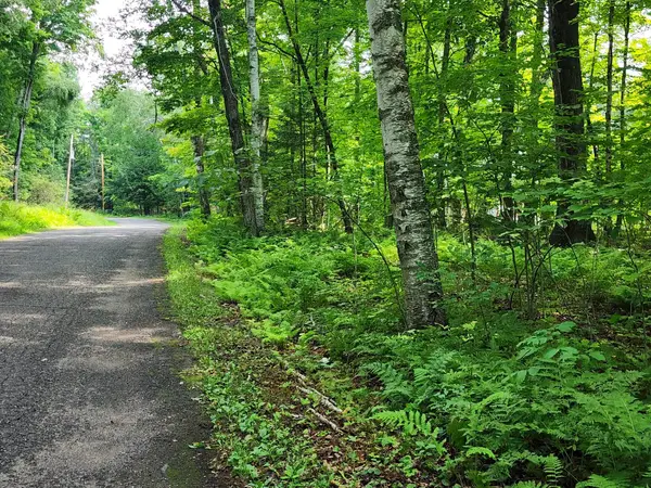 ON Shore Dr N #Lot 12, Wabeno, WI 54566