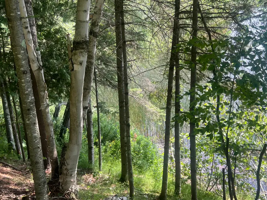Lot B Cth B, Presque Isle, WI 54557 - #3