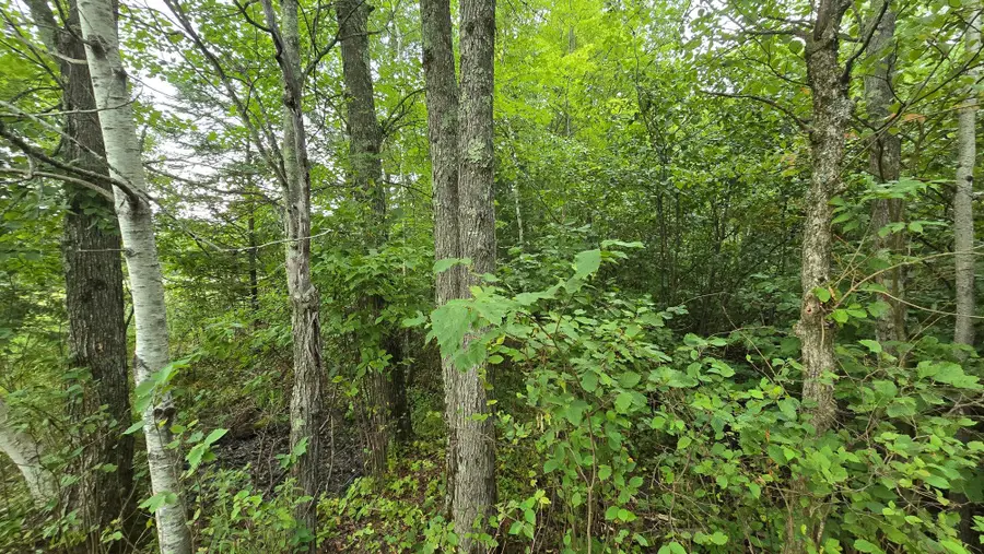 179541 Cth G, Antigo, WI 54409 - #2