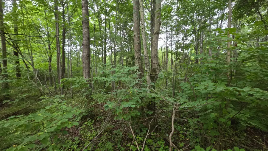 179541 Cth G, Antigo, WI 54409 - #3