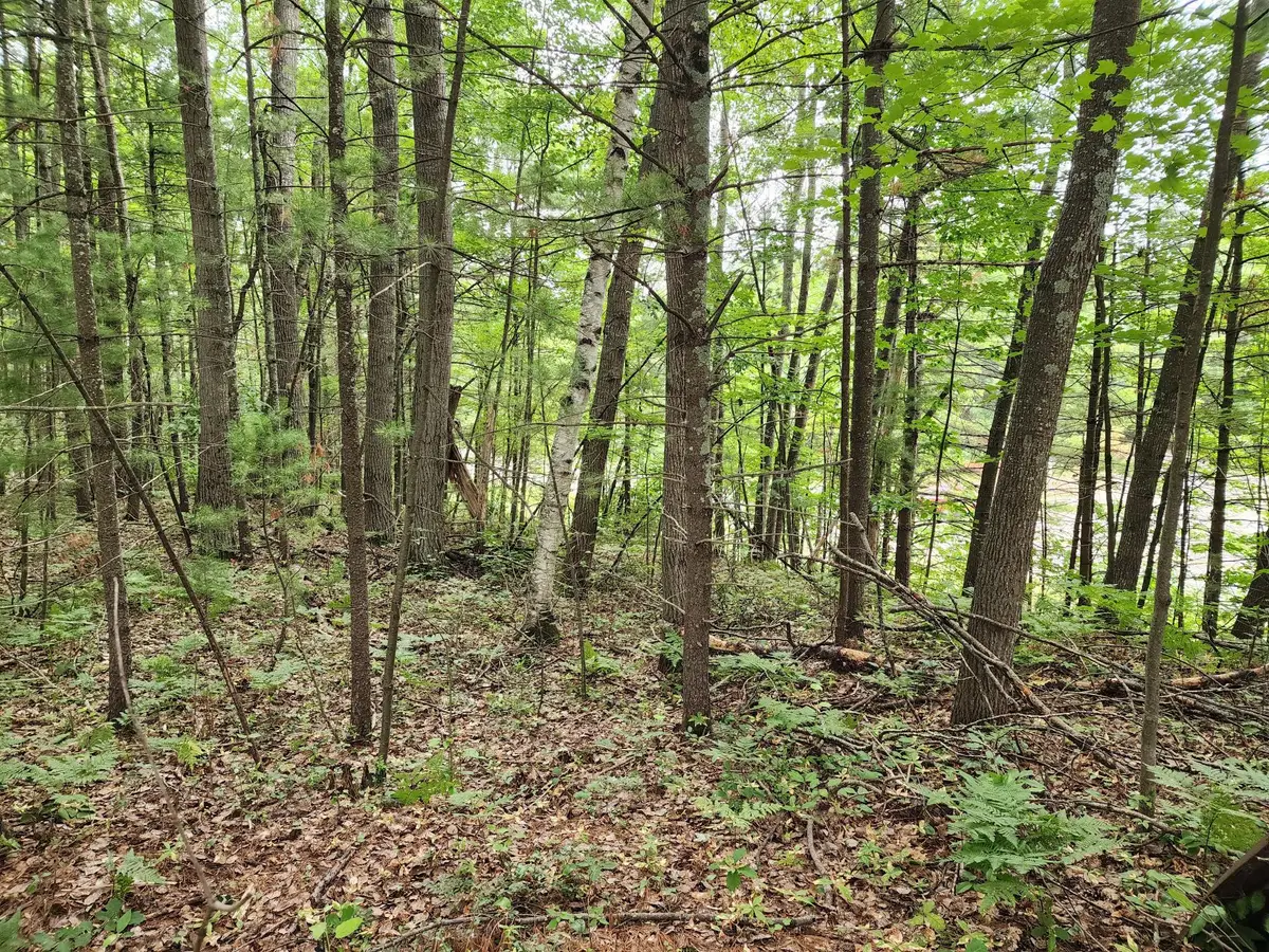 4450 Harmony Hill Ln, Rhinelander, WI 54501 - #1